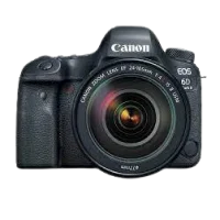 DSLR Camera by types on Y!Auction