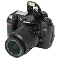 D50 Nikon Cameras for Beginners