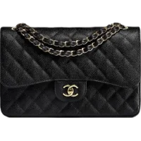 сумки и аксесуары Chanel Классические сумки с застежкой