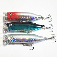  Feed Popper 70 Lure 