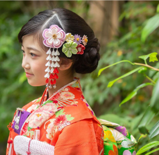 Accessories and Ornaments in Japanese Kimono