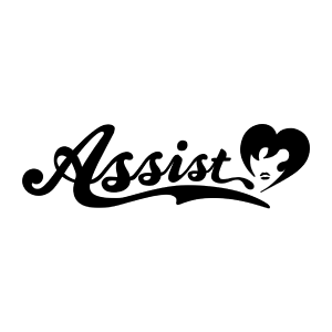  Assist Wig na ZenMarket